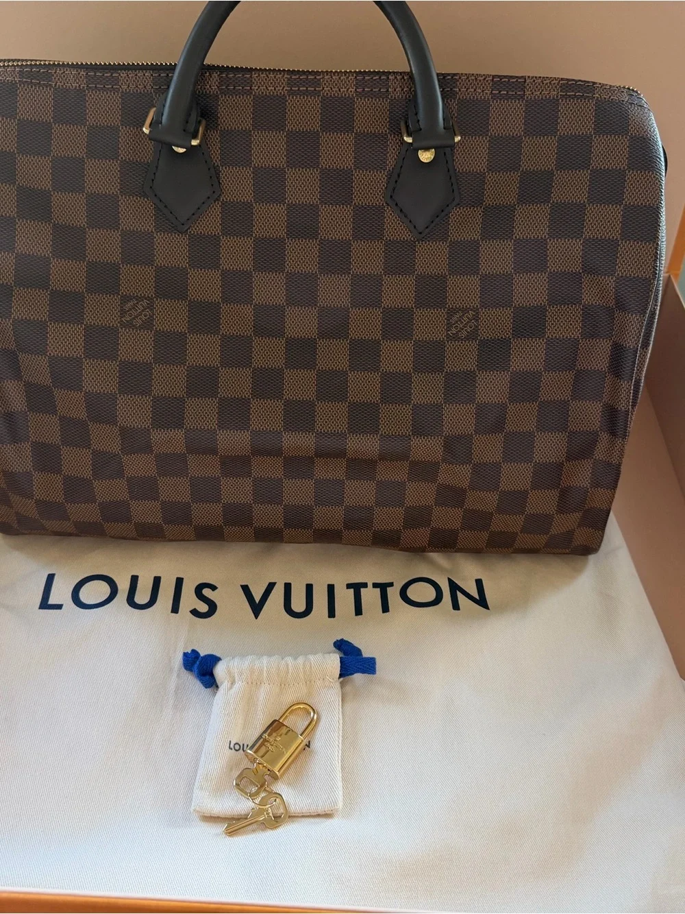 Louis Vuitton Brown Damier Ebene Canvas Speedy Bag